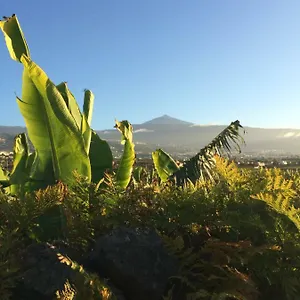 https://finca-la-plantacion-agroturismo.in-canary-islands.com